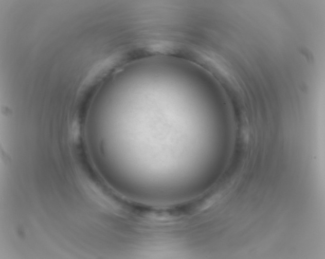 X0000090950502200708021339