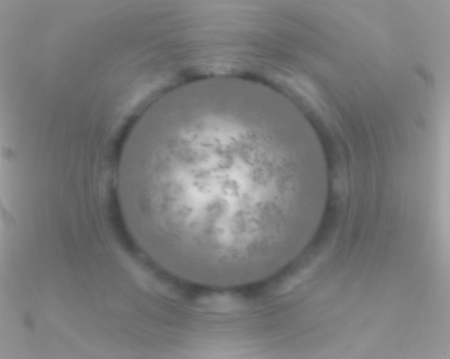 X0000090950503200708021339