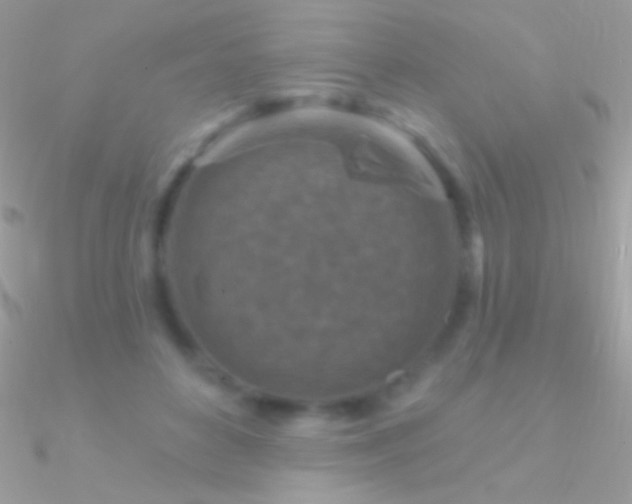 X0000090950504200708021339