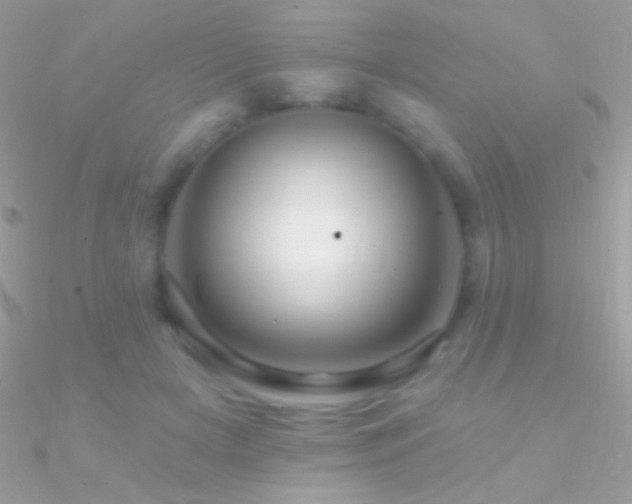 X0000090950505200708021339