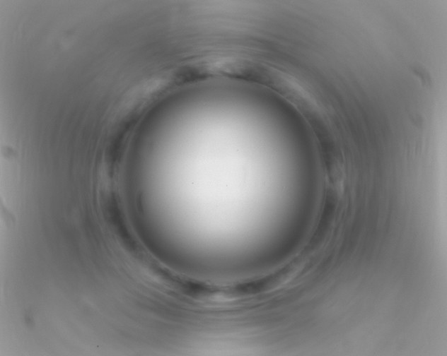 X0000090950506200708021339