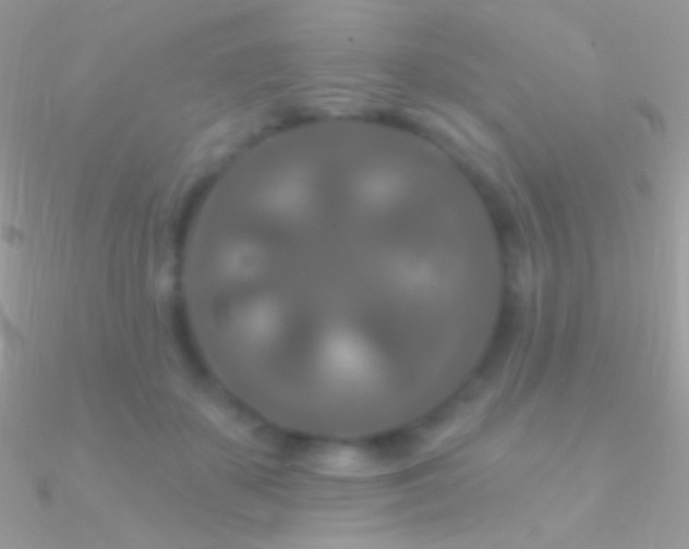 X0000090950507200708021339