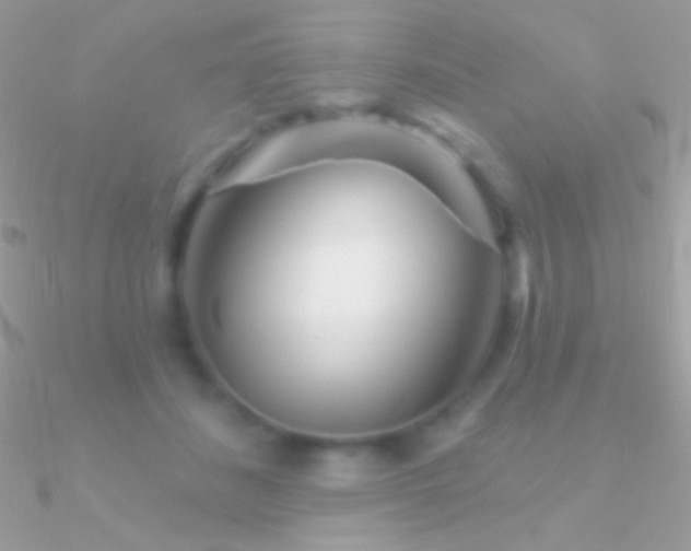 X0000090950508200708021339