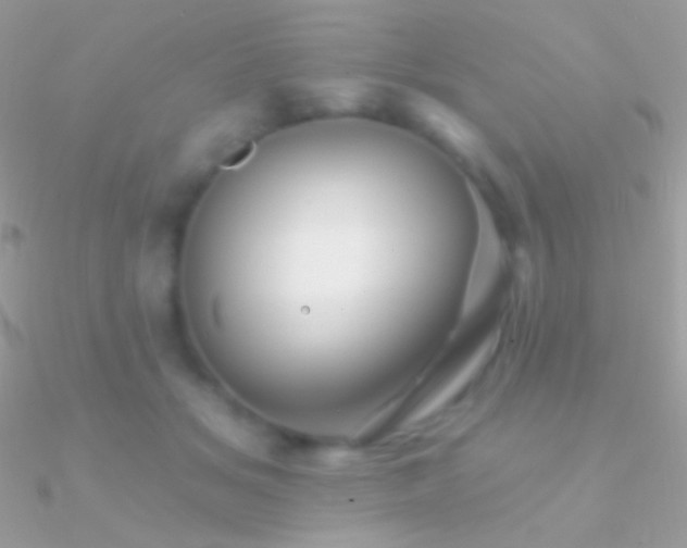 X0000090950509200708021339