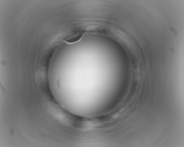 X0000090950510200708021339