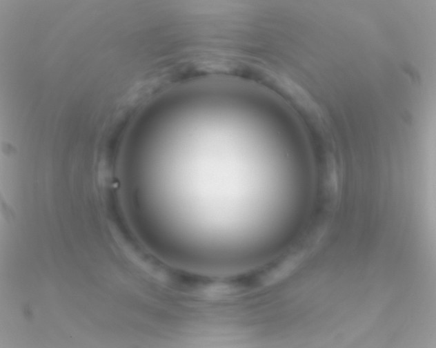 X0000090950513200708021339