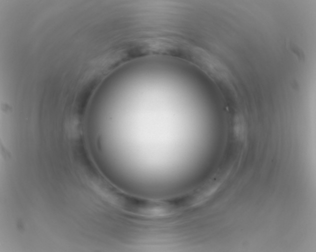 X0000090950514200708021339