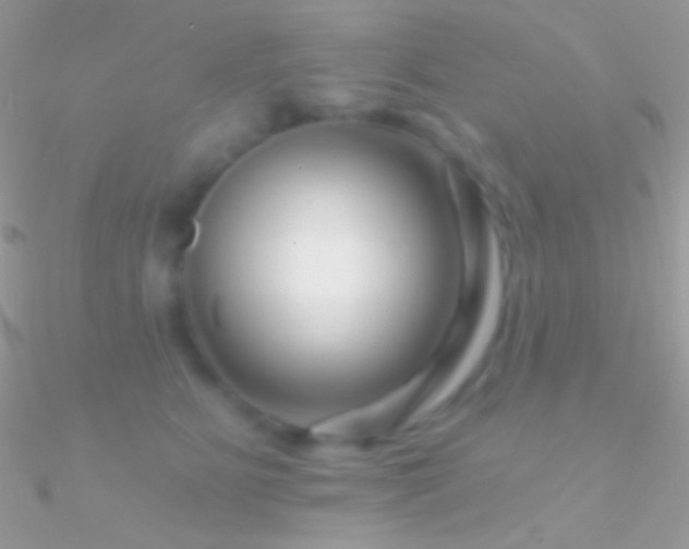 X0000090950515200708021339