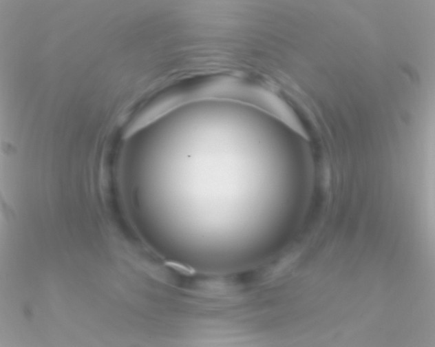X0000090950516200708021339