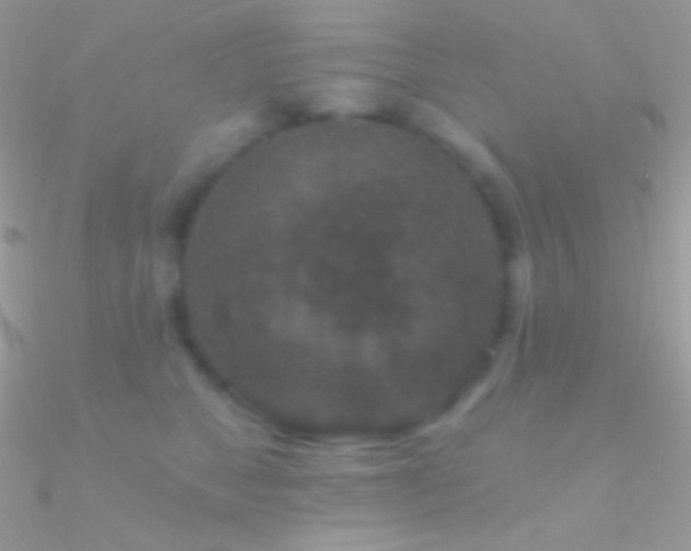 X0000090950517200708021339