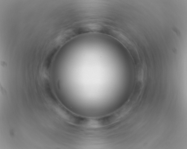 X0000090950518200708021339