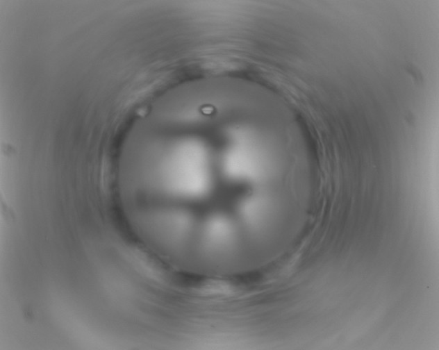 X0000090950519200708021339