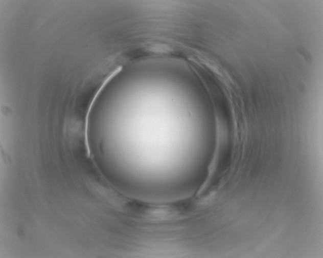 X0000090950521200708021339
