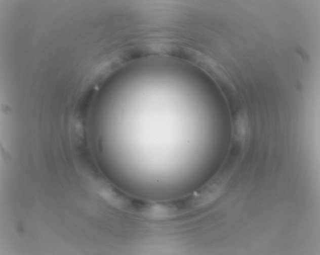 X0000090950522200708021339