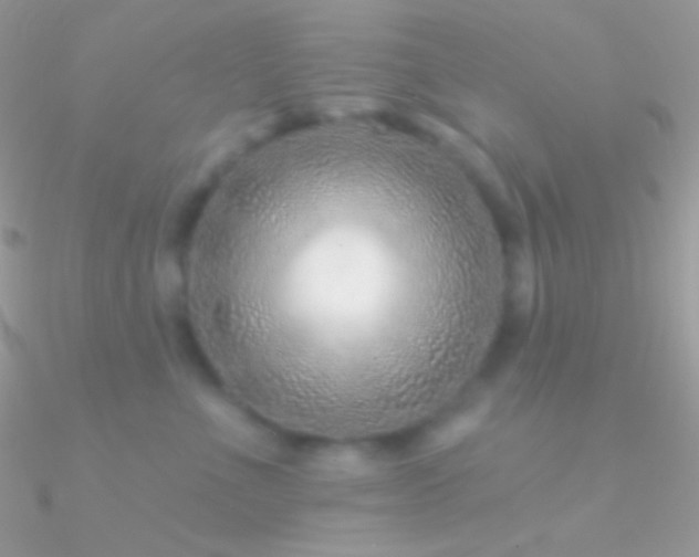 X0000090950523200708021339