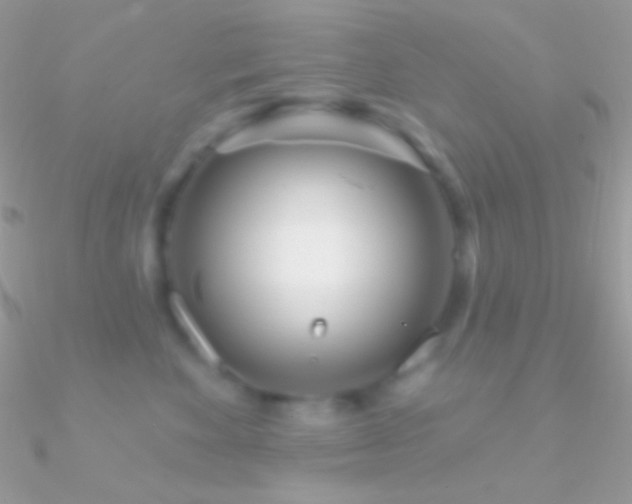 X0000090950524200708021339
