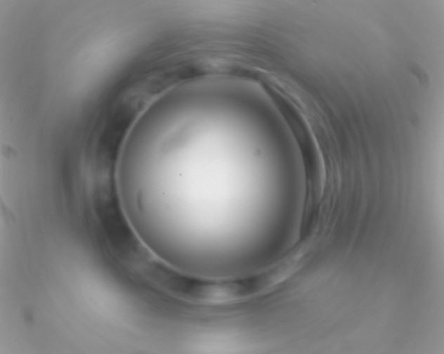 X0000090950525200708021339
