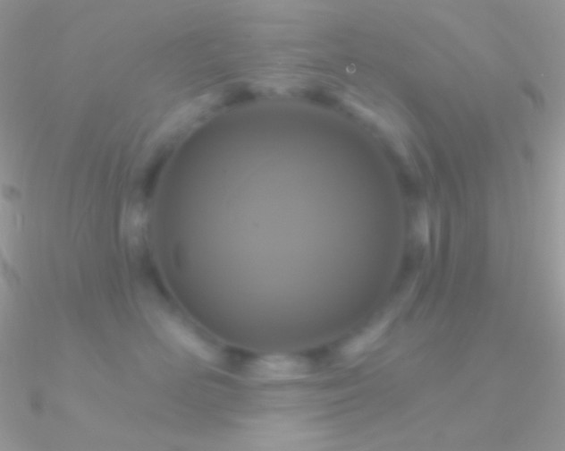 X0000090950526200708021339