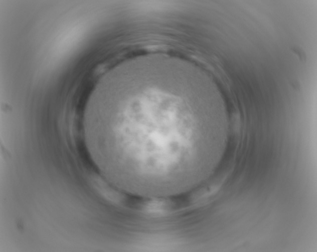 X0000090950527200708021339