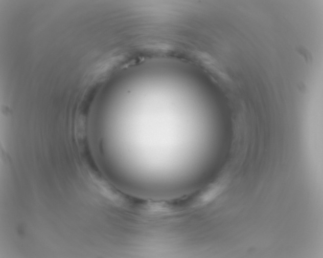 X0000090950528200708021339