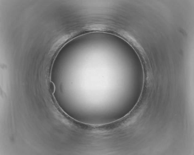 X0000090950529200708021338