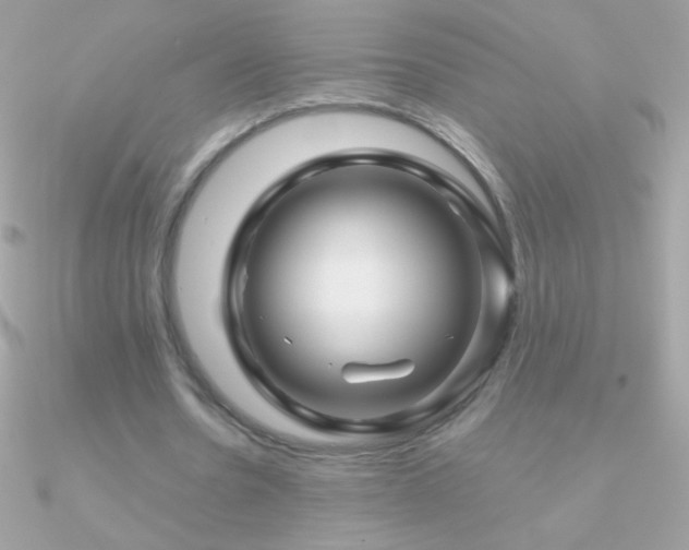 X0000090950530200708021338