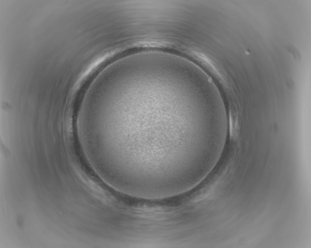 X0000090950531200708021338