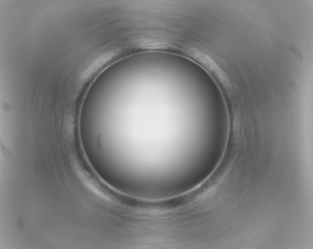 X0000090950533200708021338