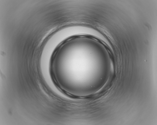 X0000090950534200708021338