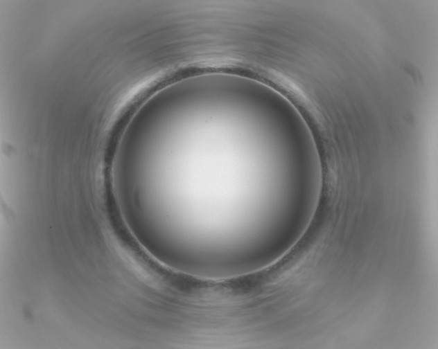X0000090950535200708021338