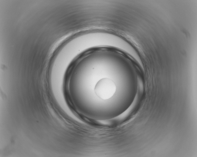 X0000090950536200708021338