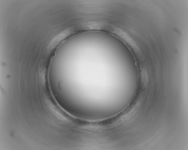 X0000090950537200708021338