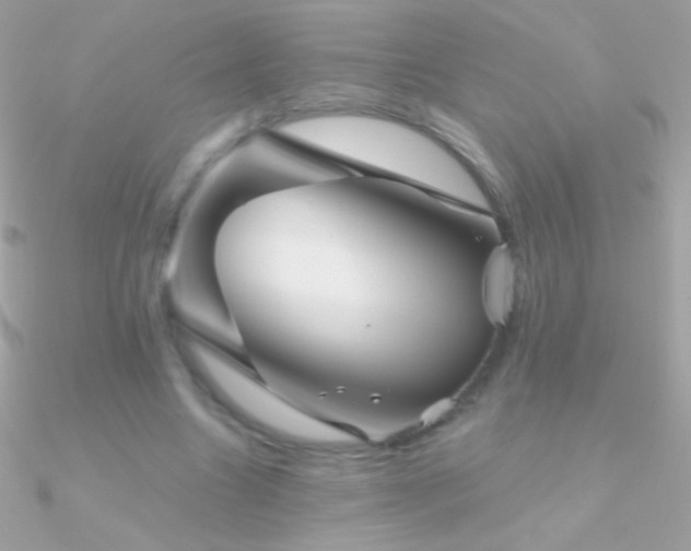 X0000090950538200708021338