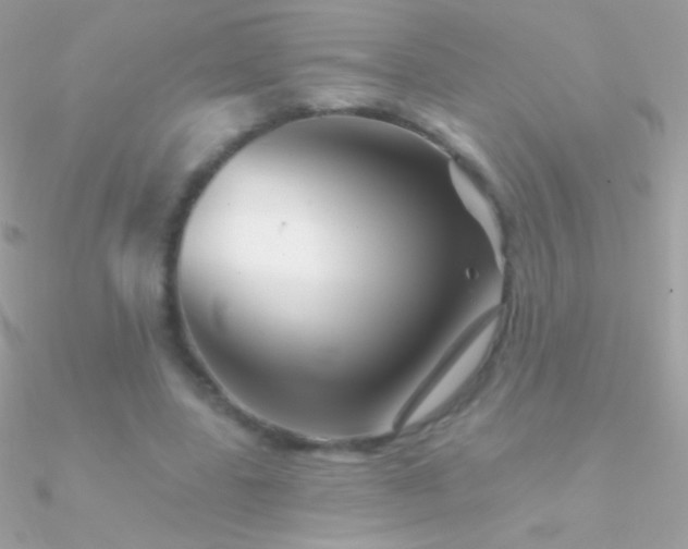 X0000090950539200708021338