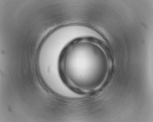 X0000090950540200708021338