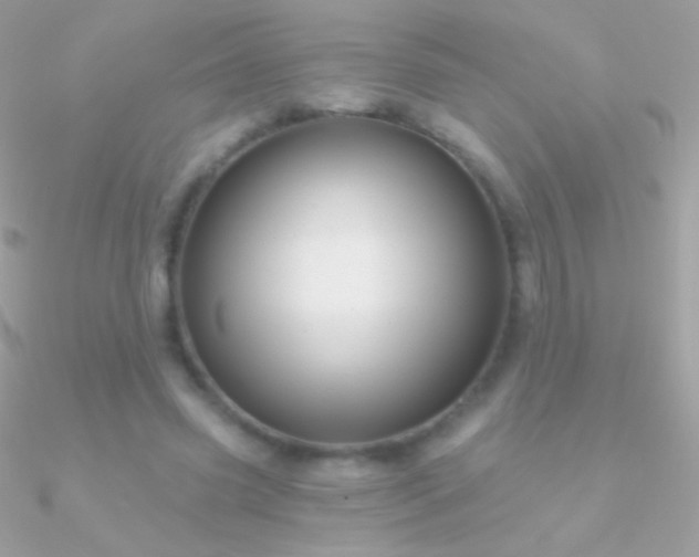 X0000090950541200708021338