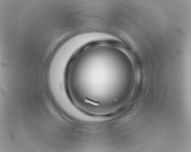X0000090950542200708021338