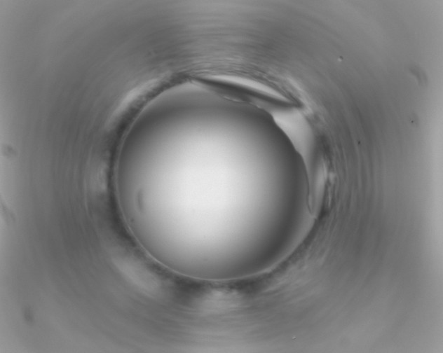X0000090950543200708021338