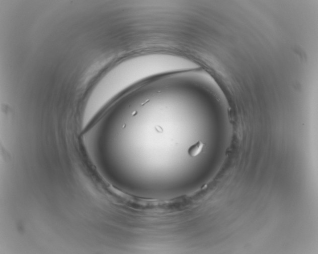 X0000090950544200708021338