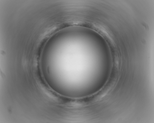 X0000090950545200708021338