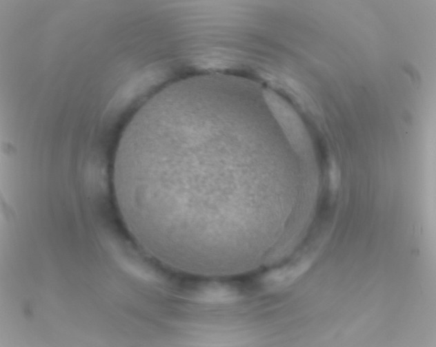 X0000090950547200708021339