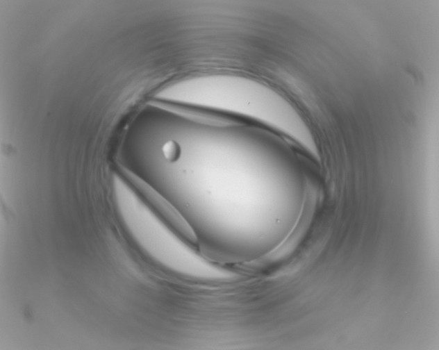X0000090950548200708021339