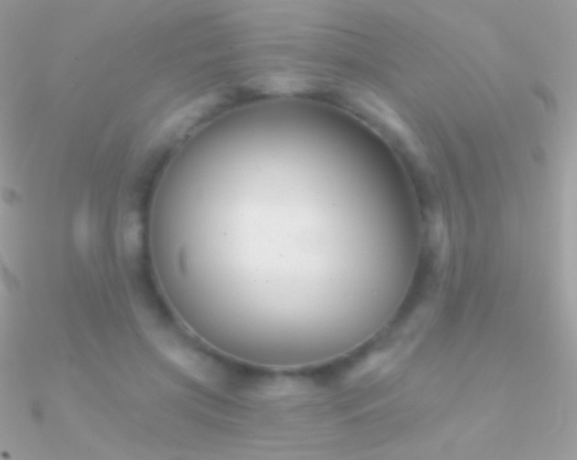 X0000090950549200708021339