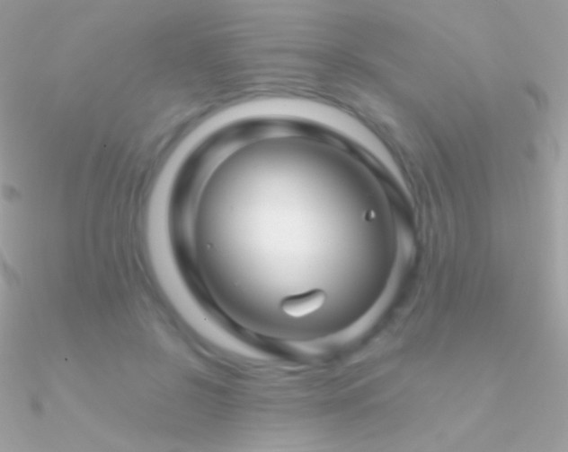 X0000090950550200708021339