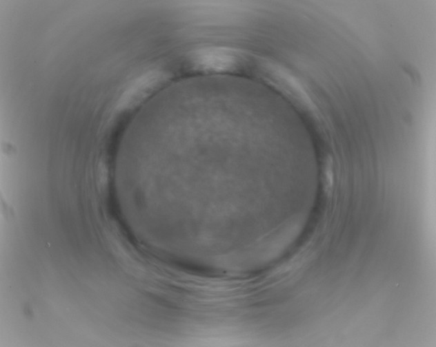 X0000090950551200708021339