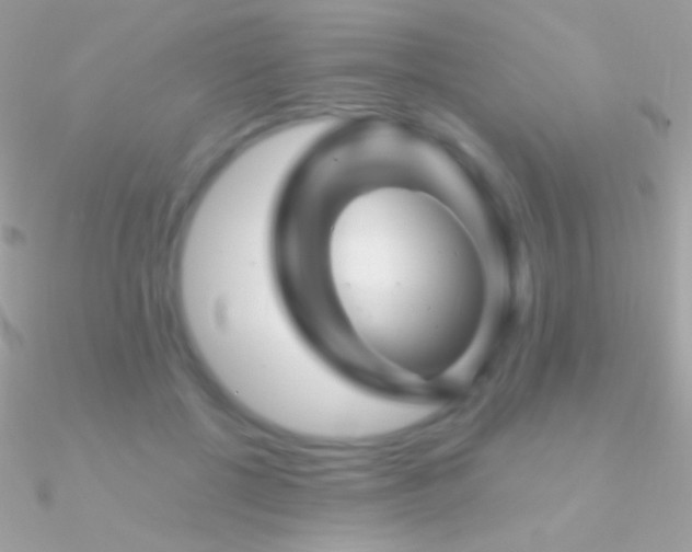 X0000090950552200708021339