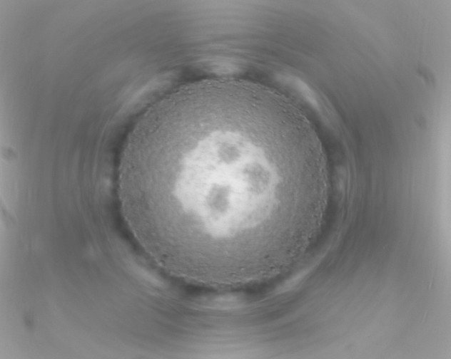 X0000090950553200708021339