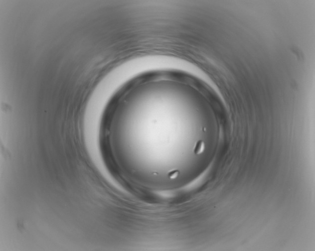 X0000090950554200708021339