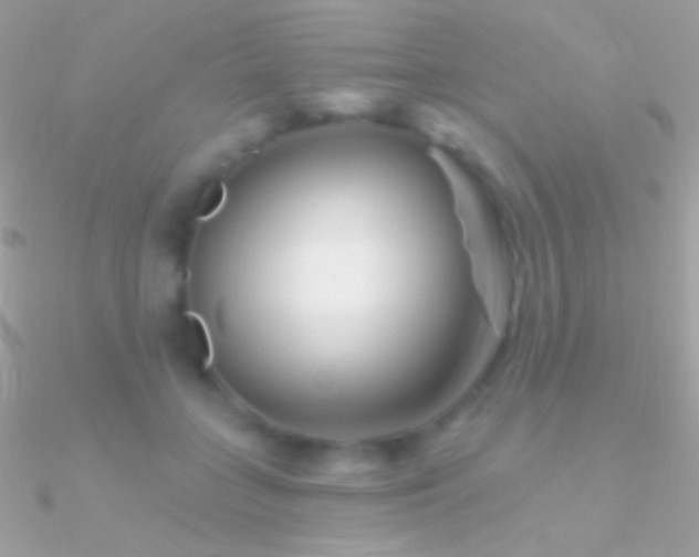 X0000090950555200708021339