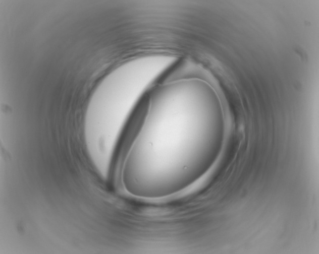 X0000090950556200708021339